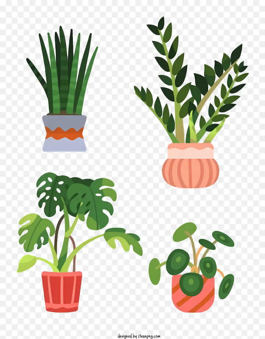 Plantas De Interior，Tipos De Plantas De Interior PNG