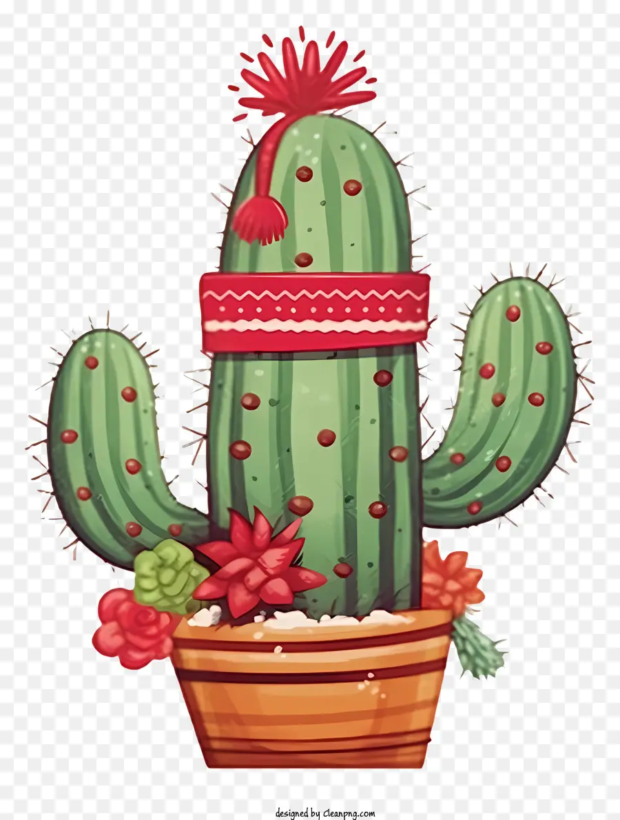 Macetas De Cactus，Las Hojas De Color Rojo PNG