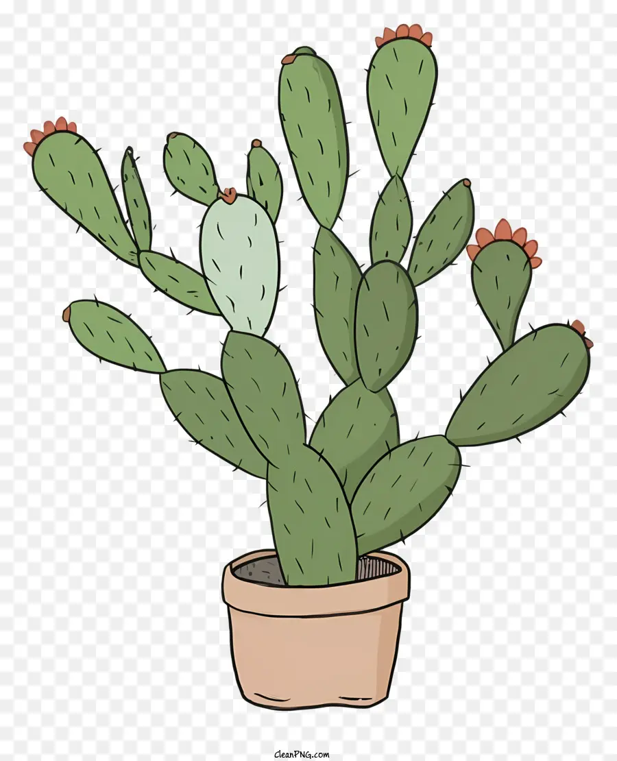 Dibujos Animados De Cactus，Macetas Pequeñas PNG