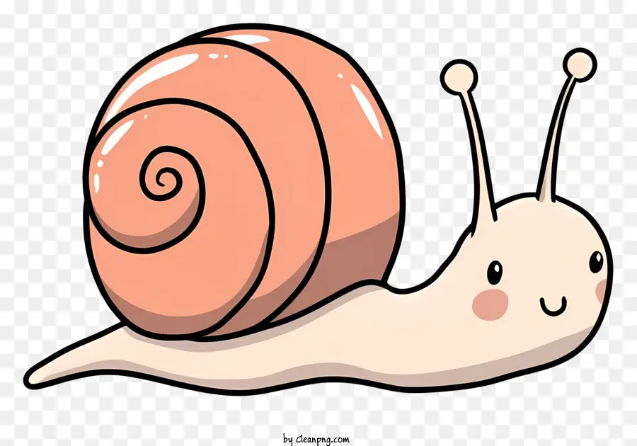 Caracol，Marcas De Concha PNG