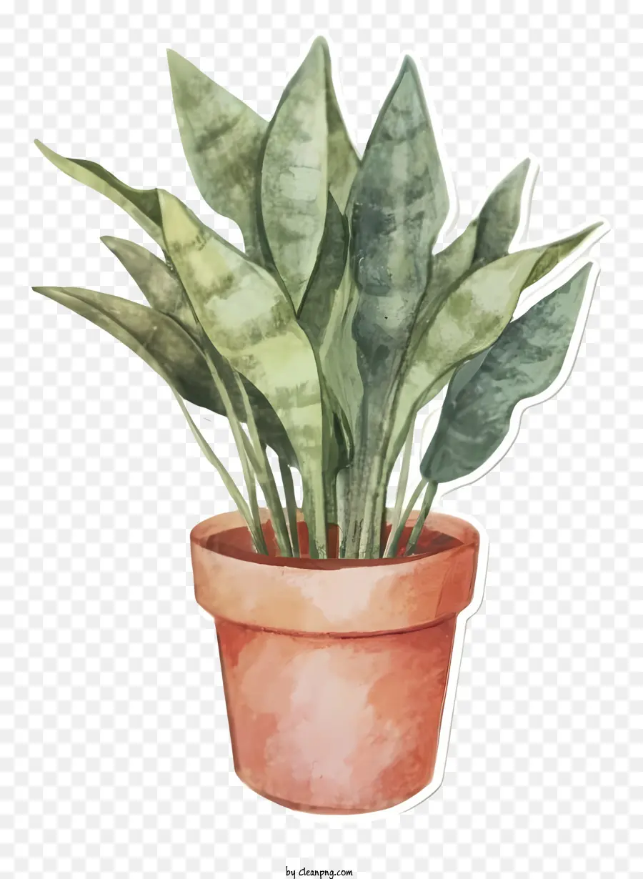 Pintura A La Acuarela，Planta En Maceta PNG