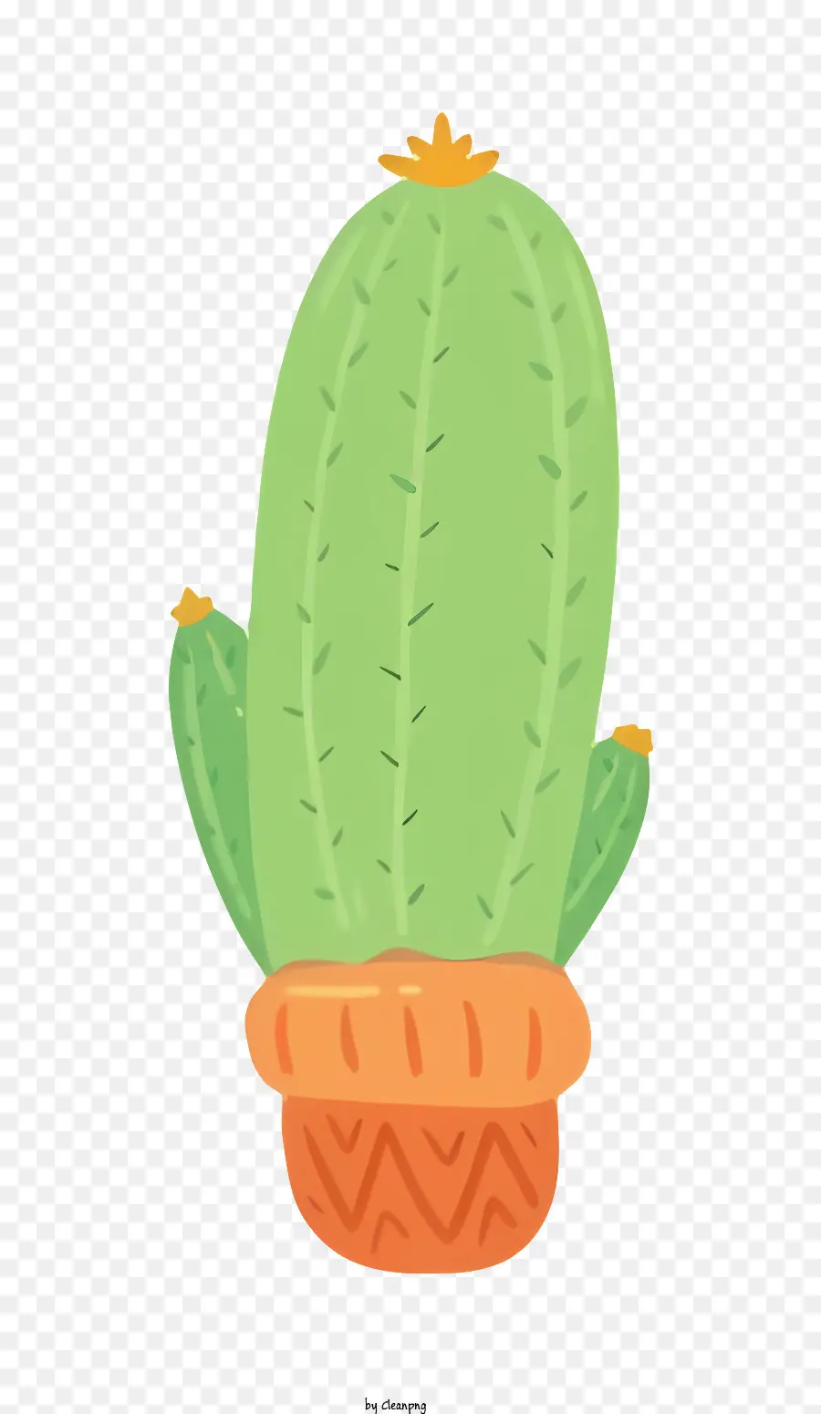 Cactus，Suculento PNG