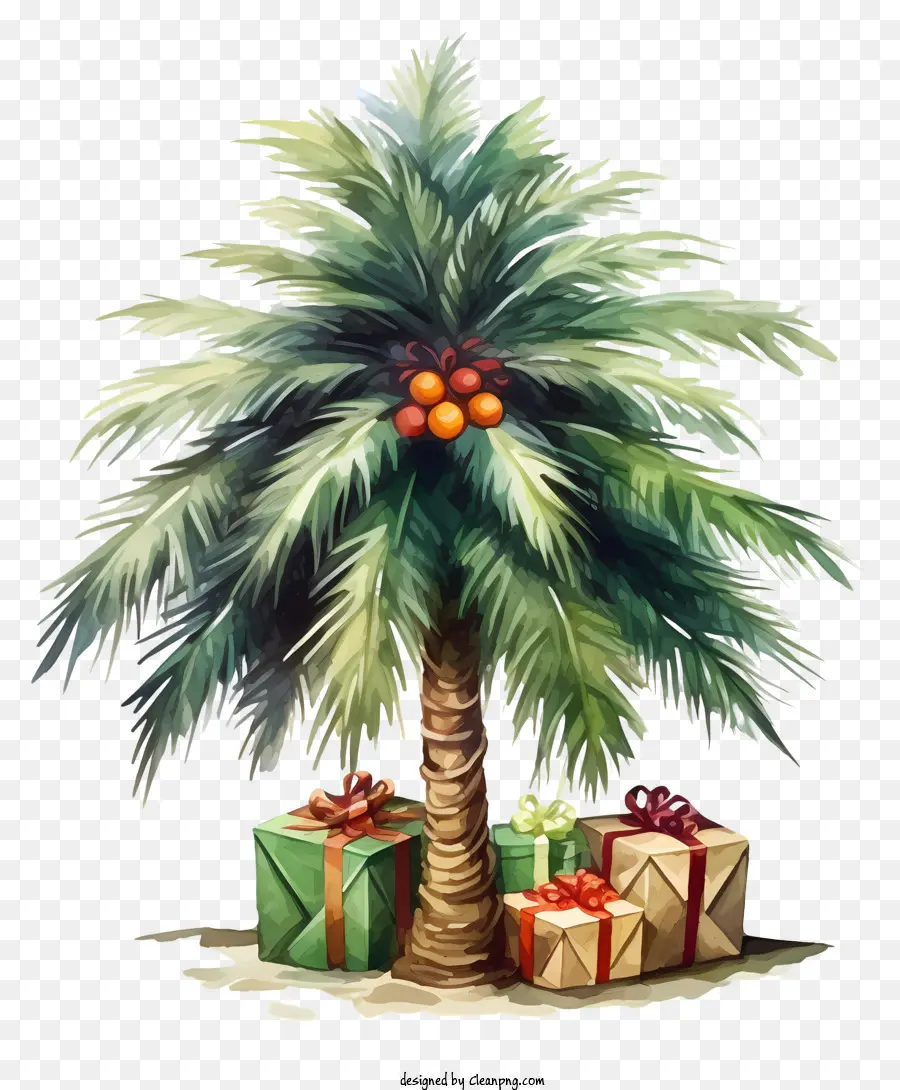 Palmera，Palmera Con Regalos PNG