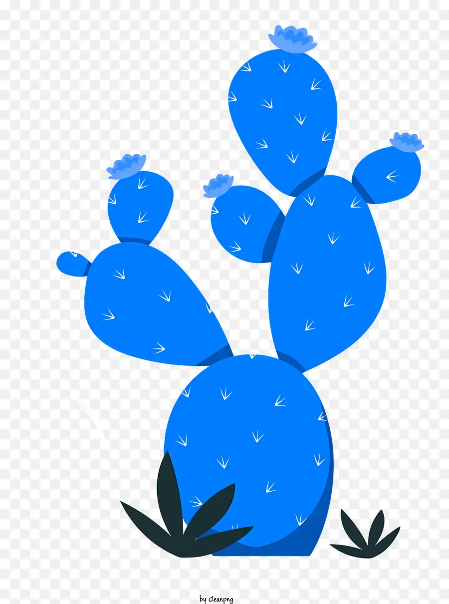 Planta De Cactus，Flores De Color Azul PNG