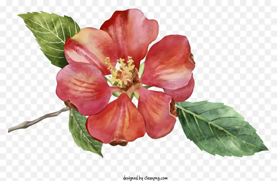 Rosa Roja，Hojas Verdes PNG