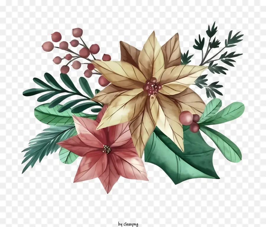 Pintura De Acuarela，Flor De Pascua PNG