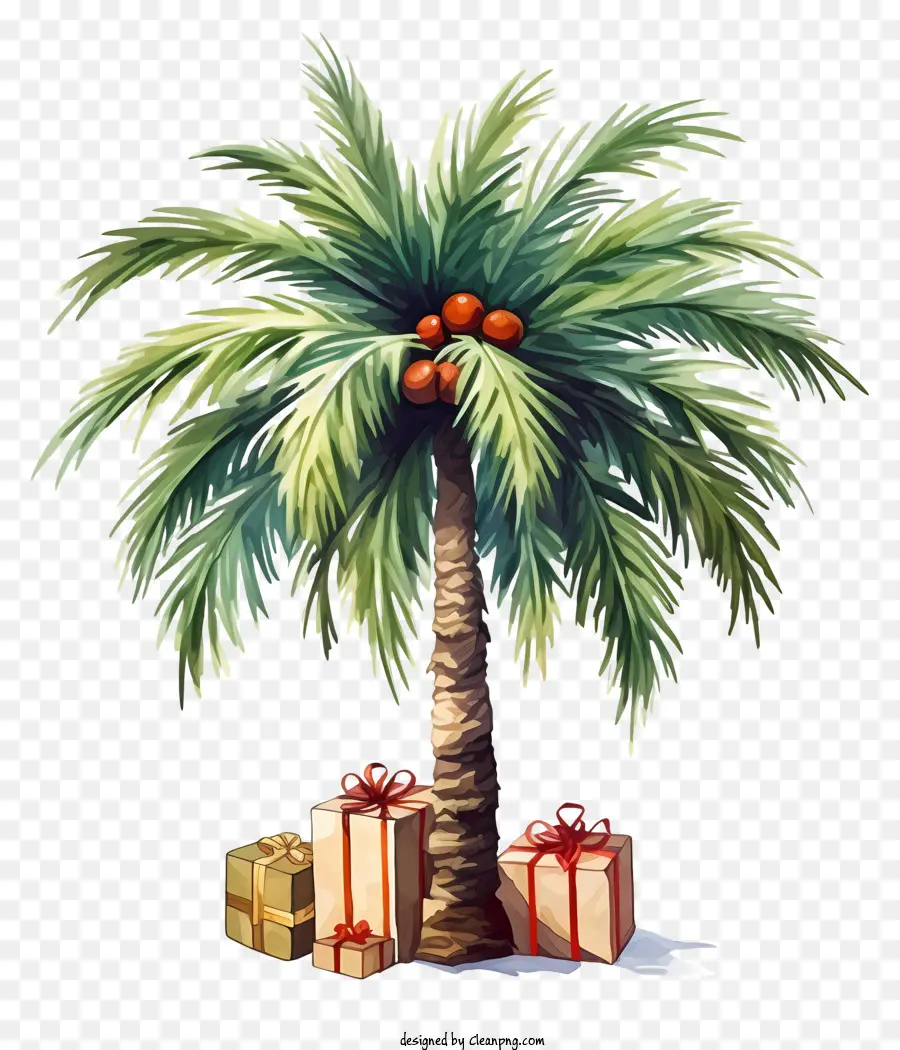 Palmera，Palmera Con Regalos PNG