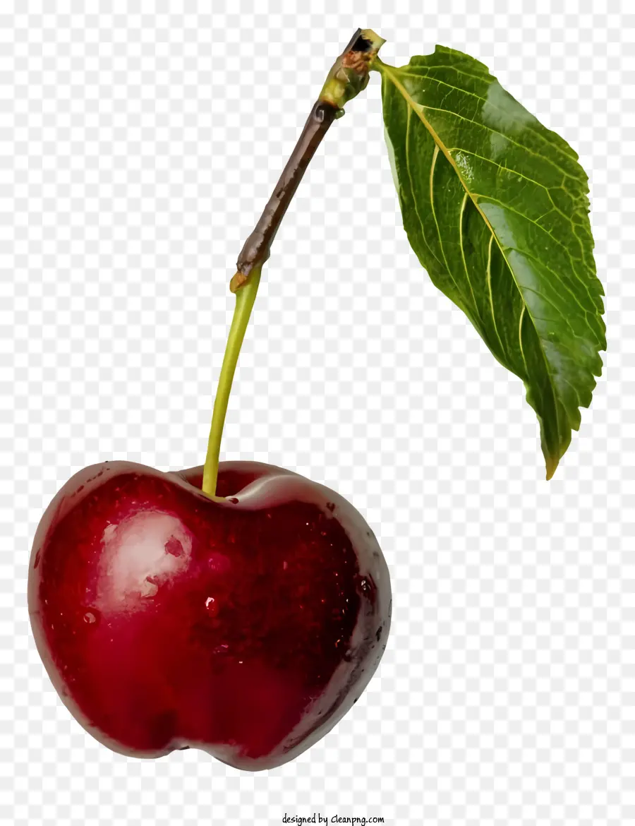 Cereza Roja，Cereza PNG