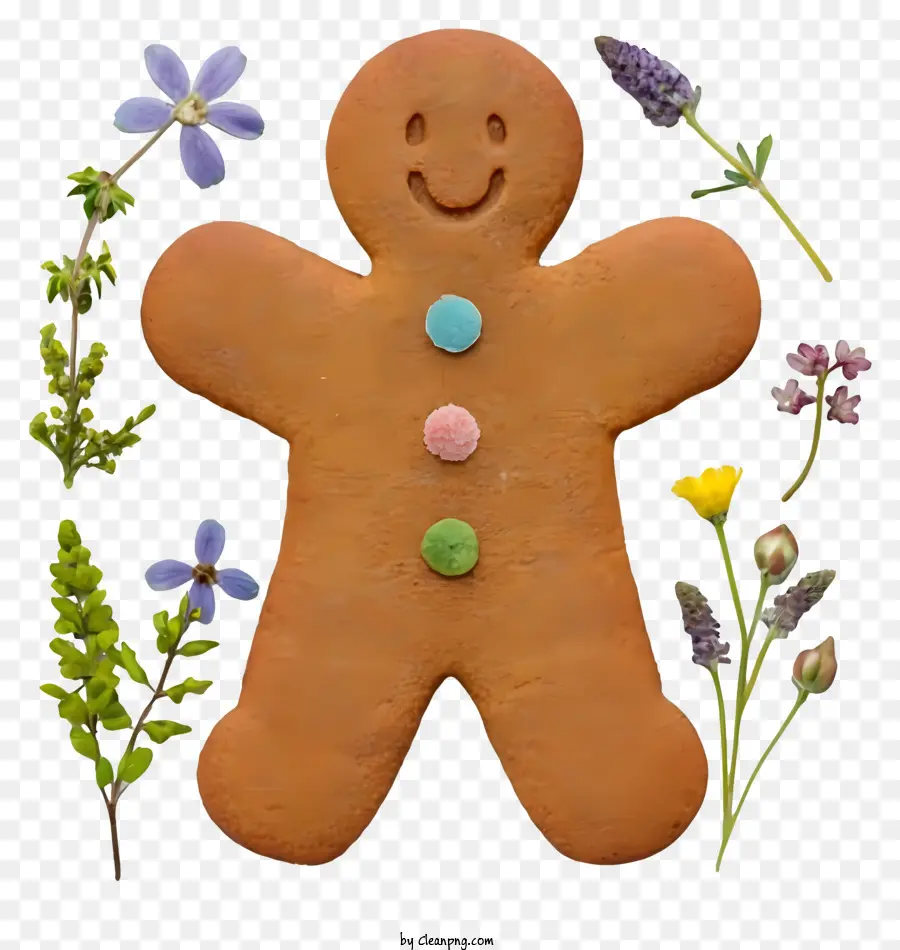 Hombre De Pan De Jengibre，Cookie PNG