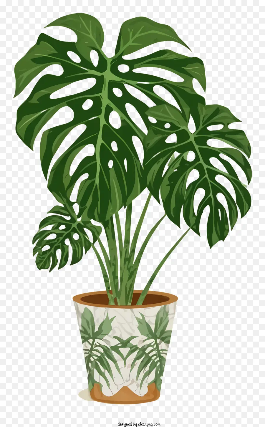 Monstruo De La Planta，Planta Tropical PNG