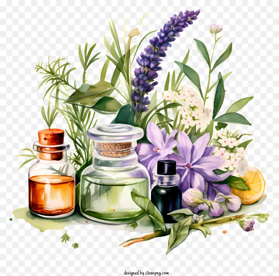 Aceites De Aromaterapia，Botellas De Lavanda PNG