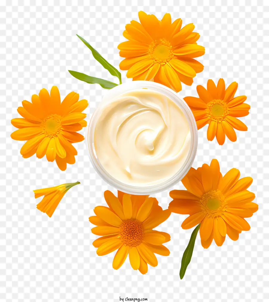 Taza De Flores，Crema Con Flores PNG