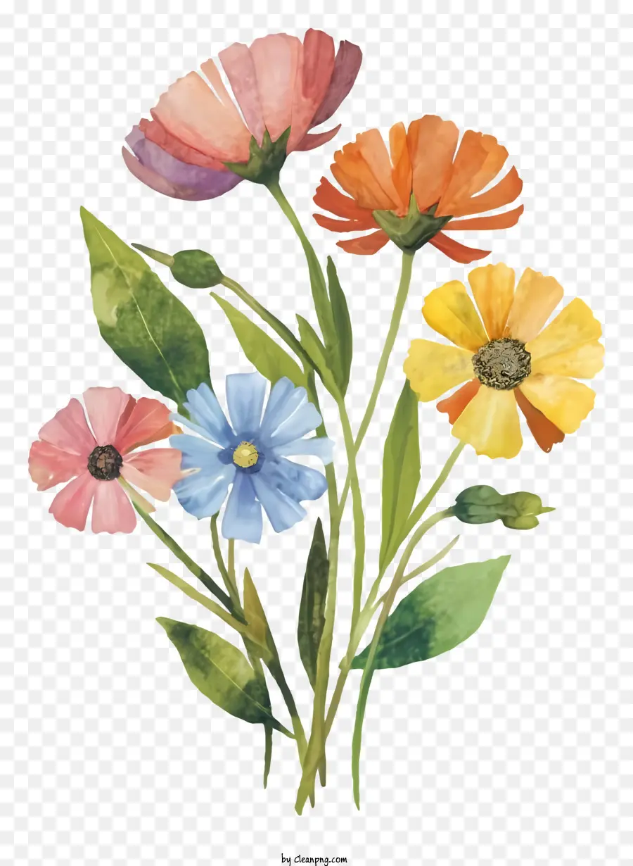 Pintura A La Acuarela，Bouquet Of Flowers PNG