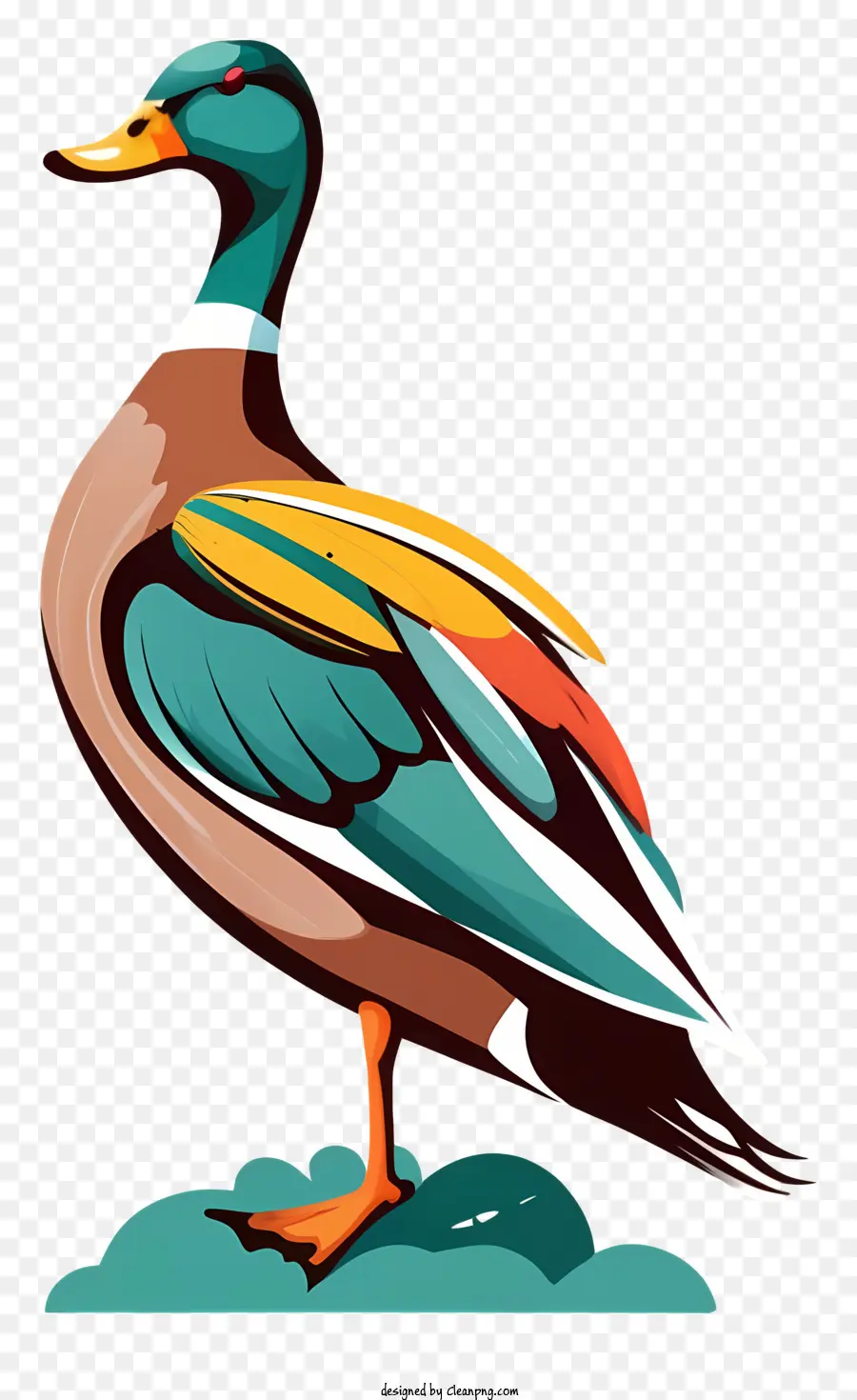 Pájaro Colorido，Pato PNG