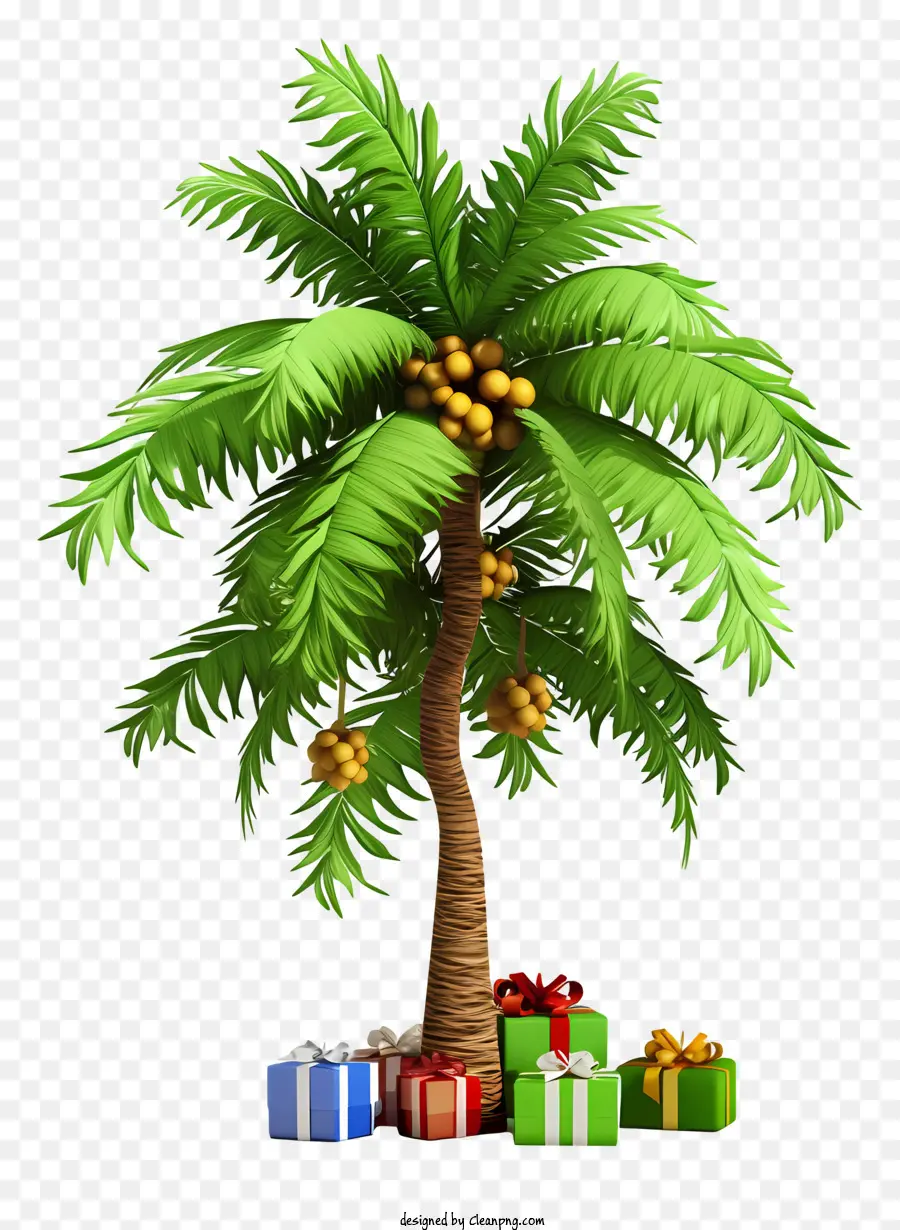 Black Background，Palmera PNG