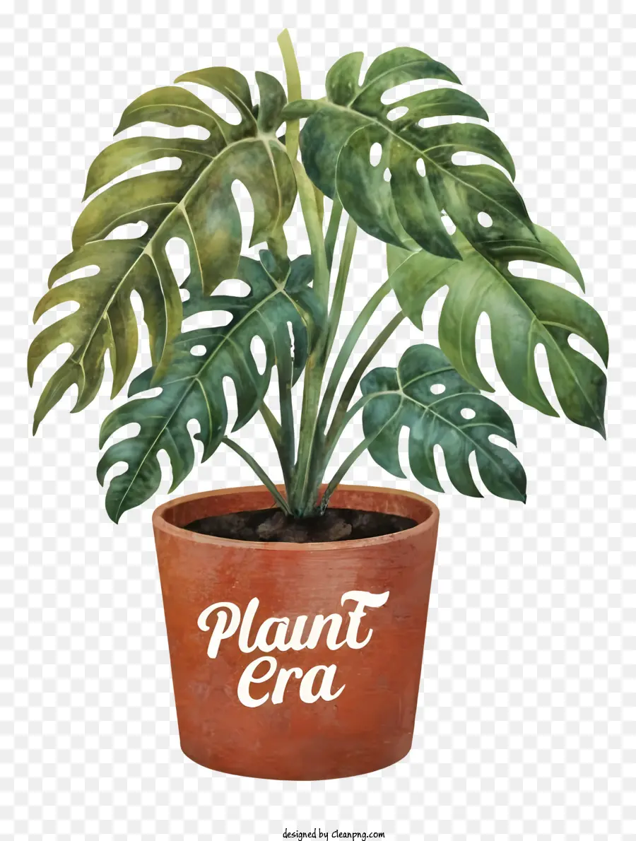 Planta En Maceta，Hojas Verdes PNG