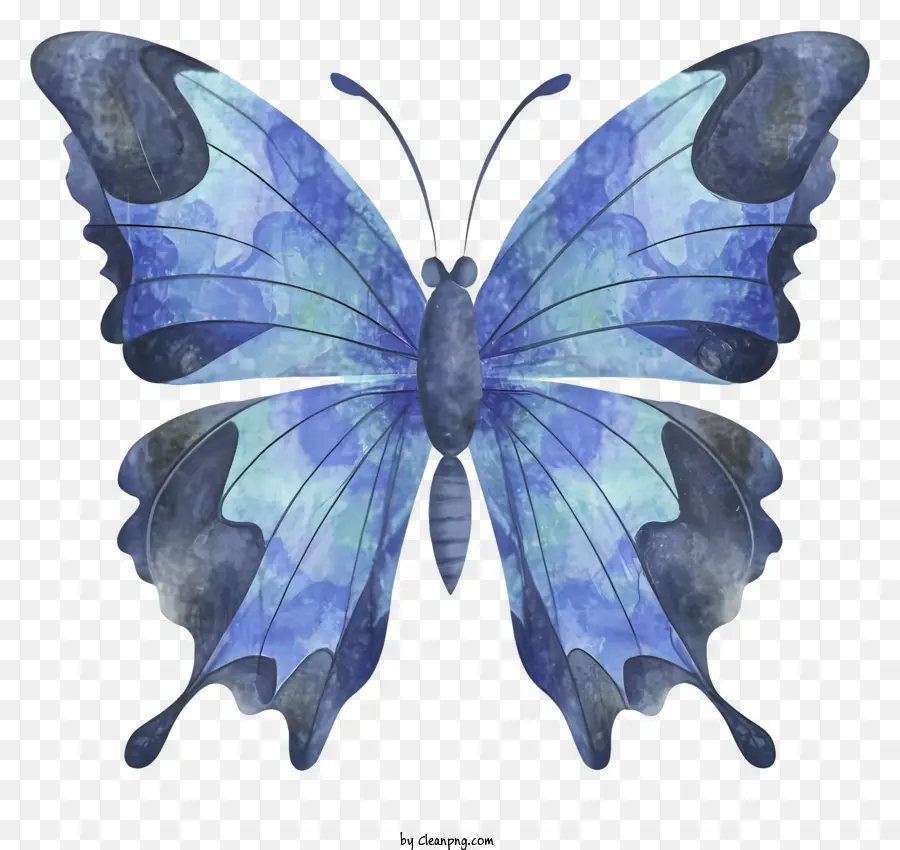 Mariposa Azul，Alas Grandes PNG