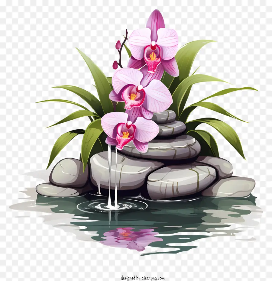 Pink Orchid，Afloramientos Rocosos PNG