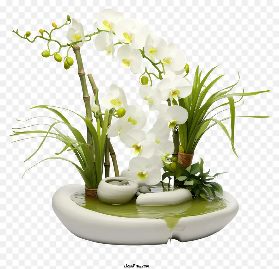 Orquídea Blanca，Pedestal De Mármol PNG