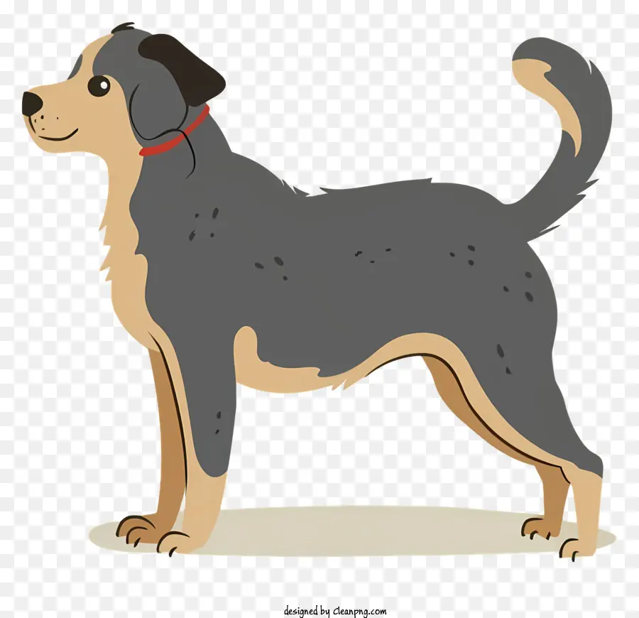 Perro，Perro Grande PNG