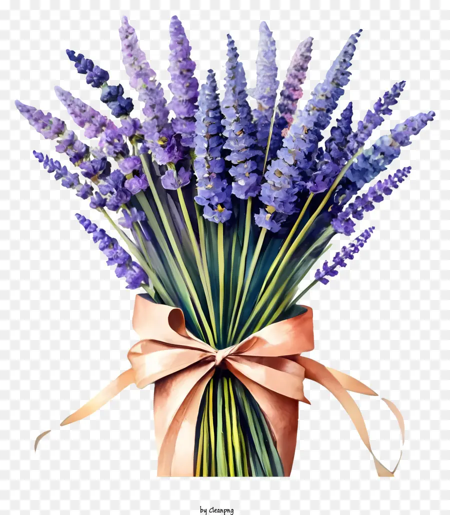 Ramo，Las Flores De Lavanda PNG