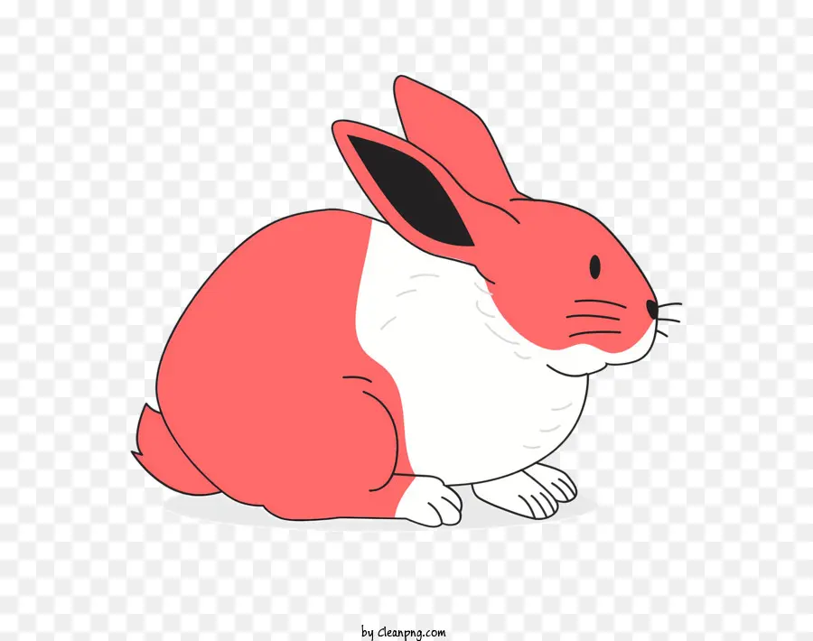 Conejo，Dibujo PNG