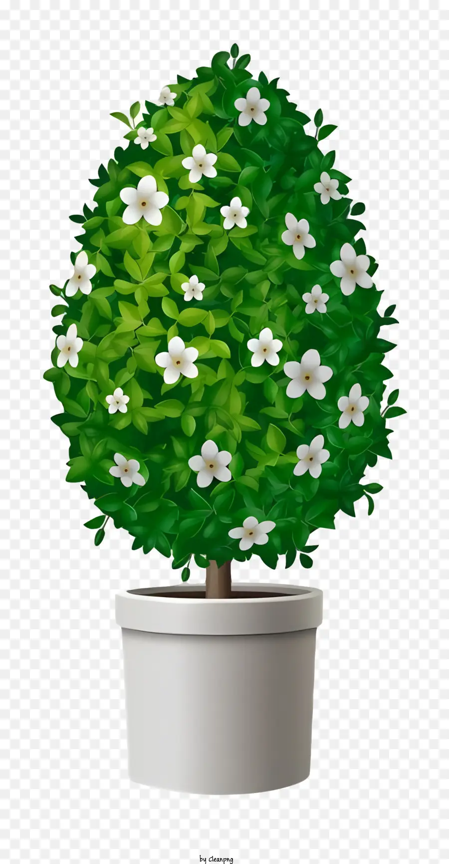 Planta En Maceta，Flores Blancas PNG
