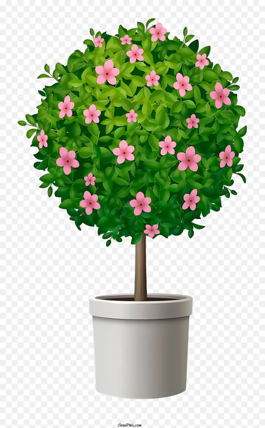 Pequeño árbol En Maceta，Flores De Color Rosa PNG