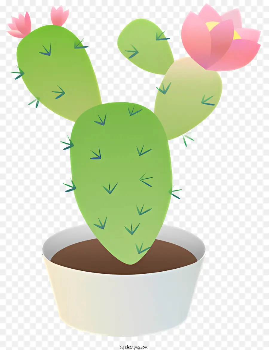 Planta De Cactus，Maceta Blanca PNG