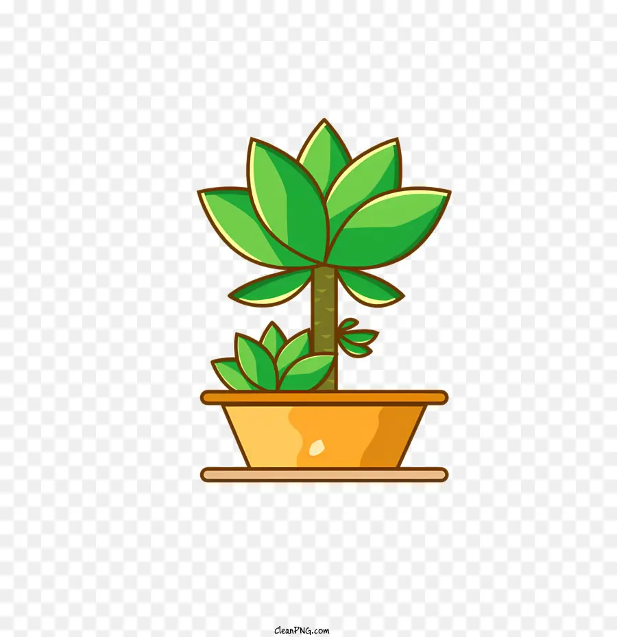 Planta，Planta En Maceta PNG