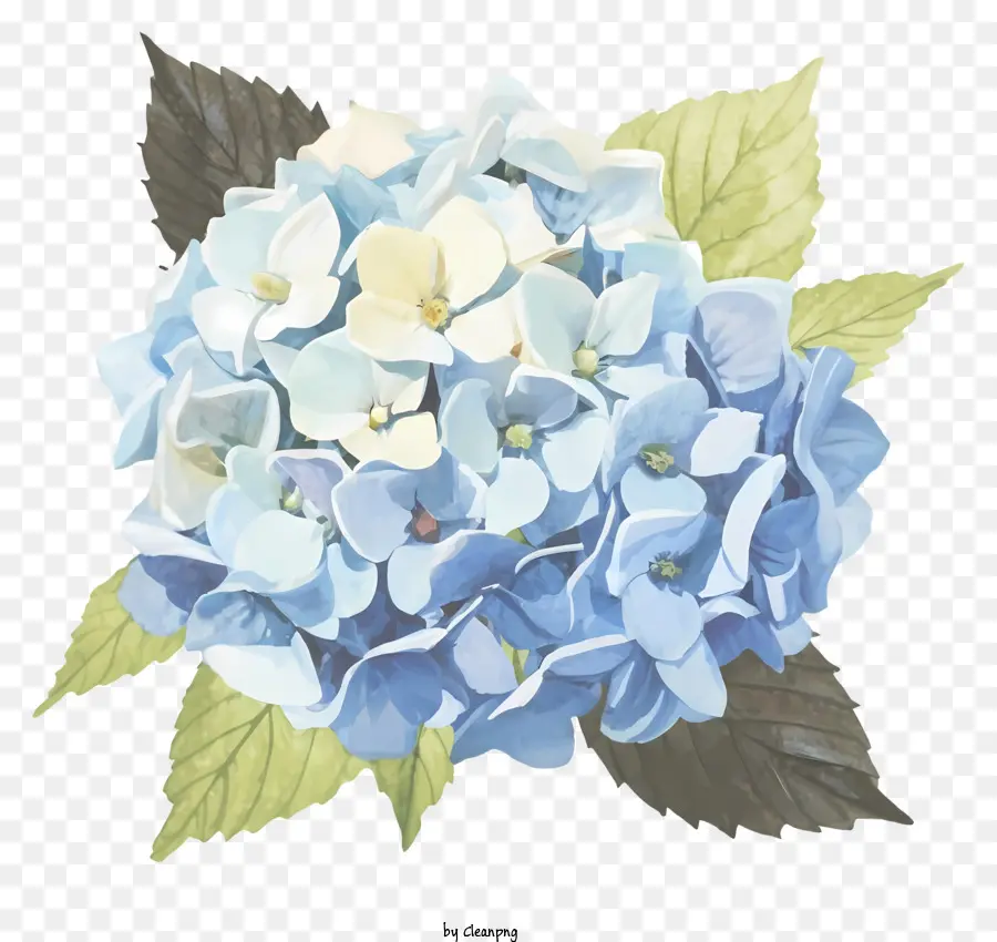 Flor Azul Y Blanca，Pétalos En Forma De Campana PNG