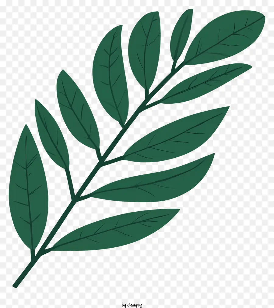 Hoja，Hojas Verdes PNG