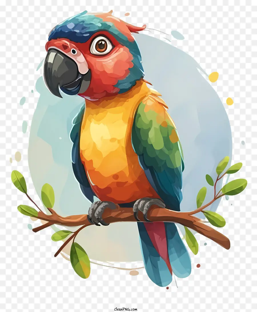 Pintura De Acuarela，Loro Colorido PNG