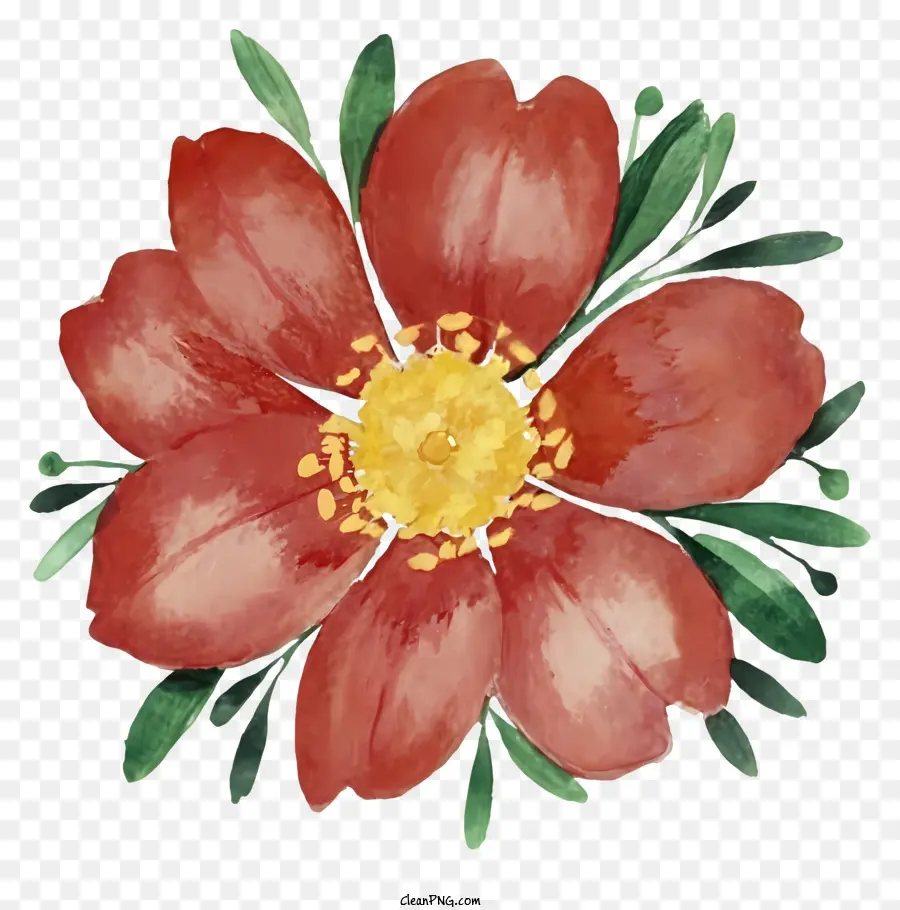 Pintura A La Acuarela，Flor Roja PNG