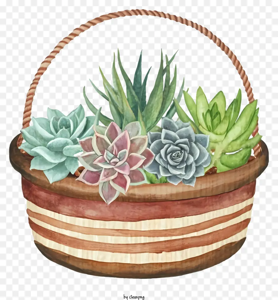 Pintura A La Acuarela，Wicker Basket PNG