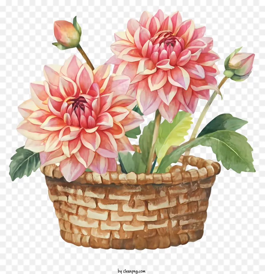 Cesta De Mimbre，Flores En Un Cubo PNG