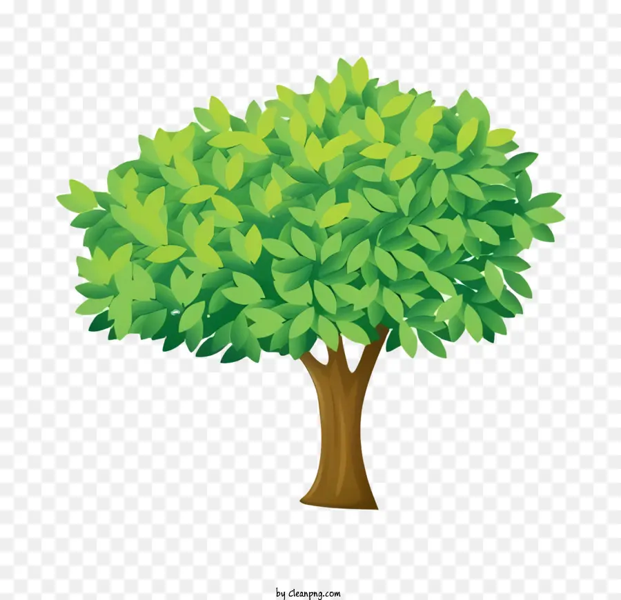 árbol Verde，Árbol PNG