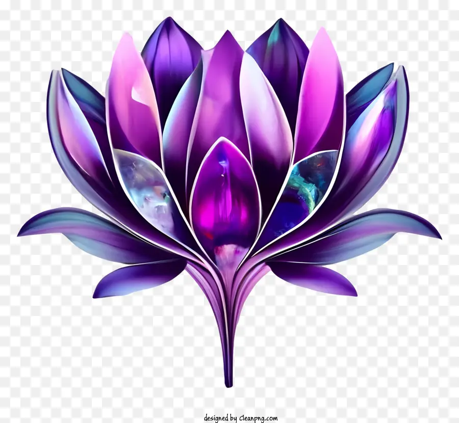 Flor De Loto，Belleza PNG