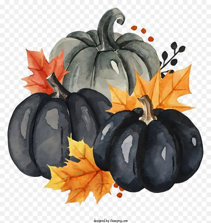 Calabazas Negras，Hojas Blancas Y Amarillas PNG