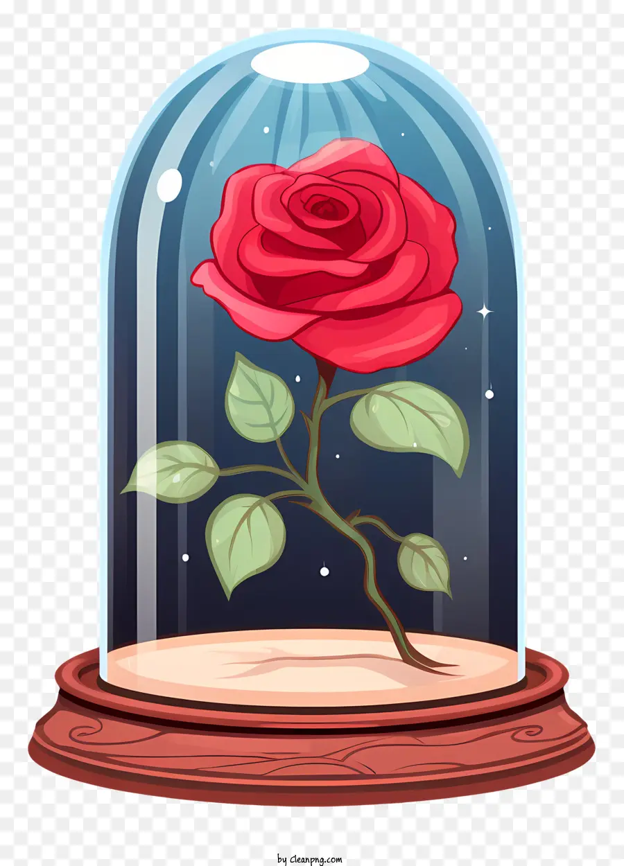 Rosa，Cúpula De Cristal PNG