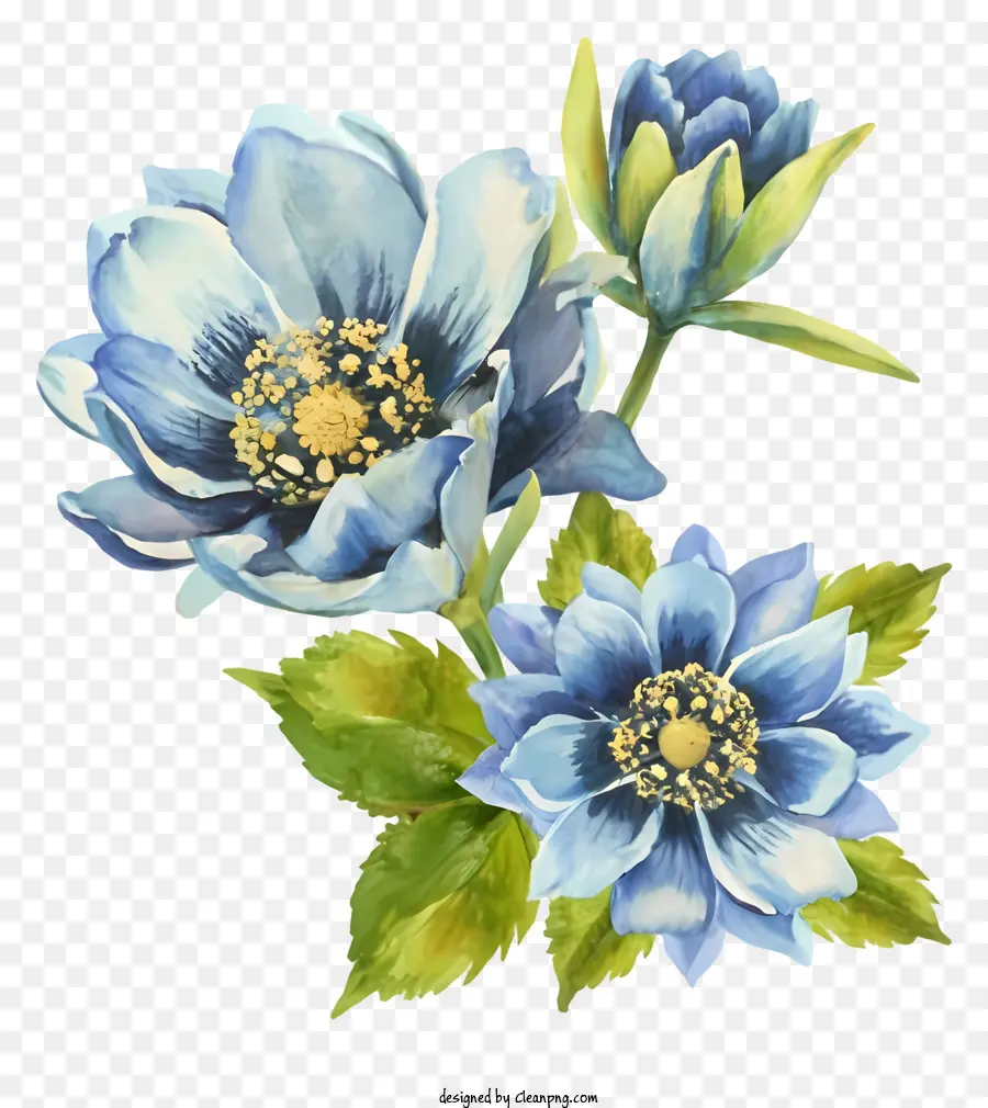 Pintura A La Acuarela，Flores De Color Azul PNG