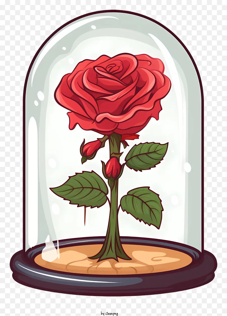 Rose En Cúpula De Vidrio，Sequied Stem PNG