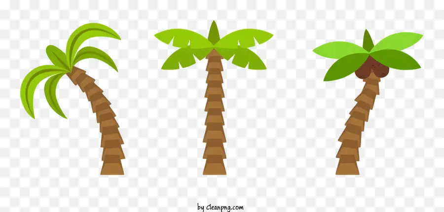 Los árboles De Palma，Color Verde Claro PNG