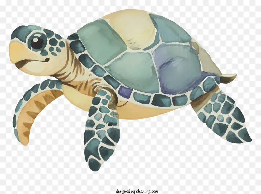 Azul Tortuga，Caparazón Verde PNG