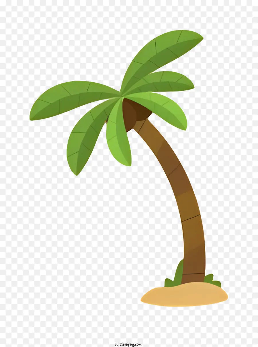 Palmera，Cáscara De Coco PNG