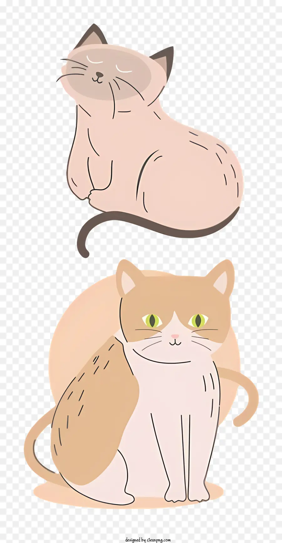 Gato De Dibujos Animados，Lindo Gato PNG