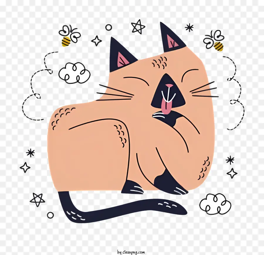 Gato，Gato Siamés PNG