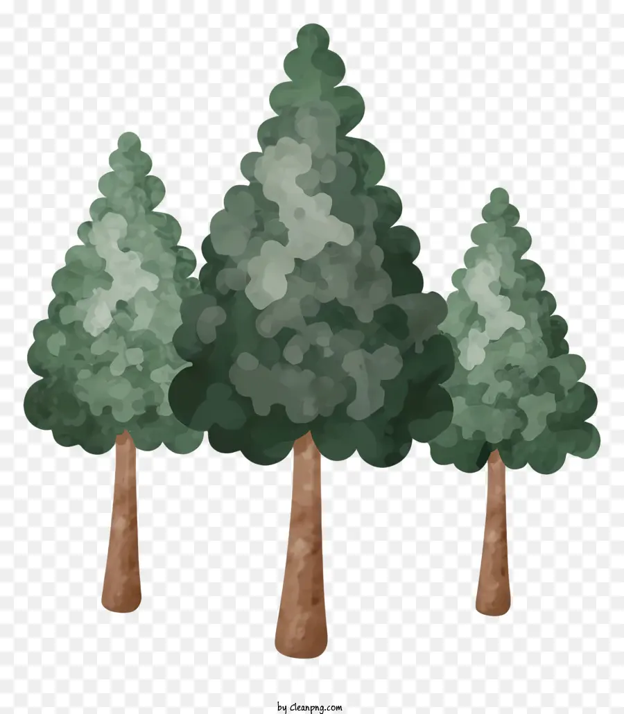 Árboles，Bosque PNG