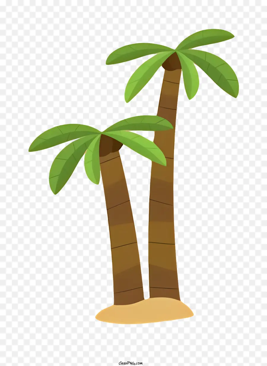 Los árboles De Palma，Entorno Tropical PNG