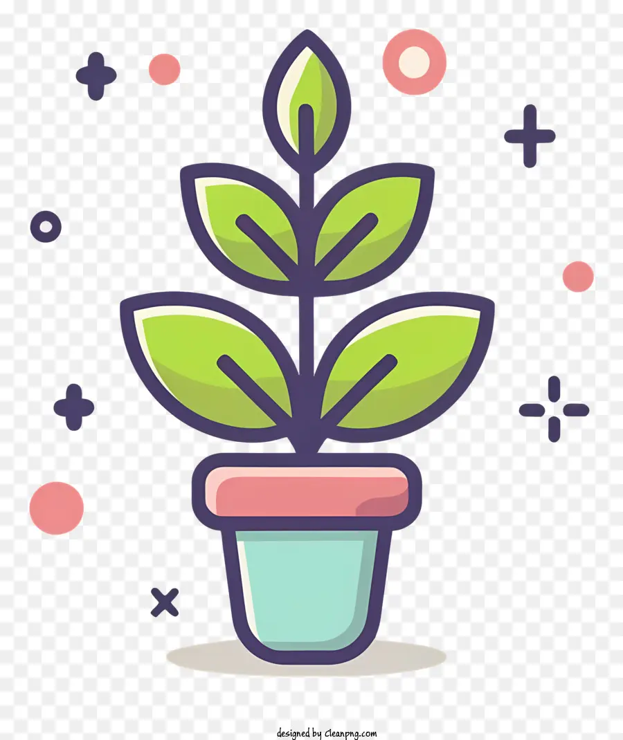 Crecimiento De Las Plantas，Planta En Maceta PNG